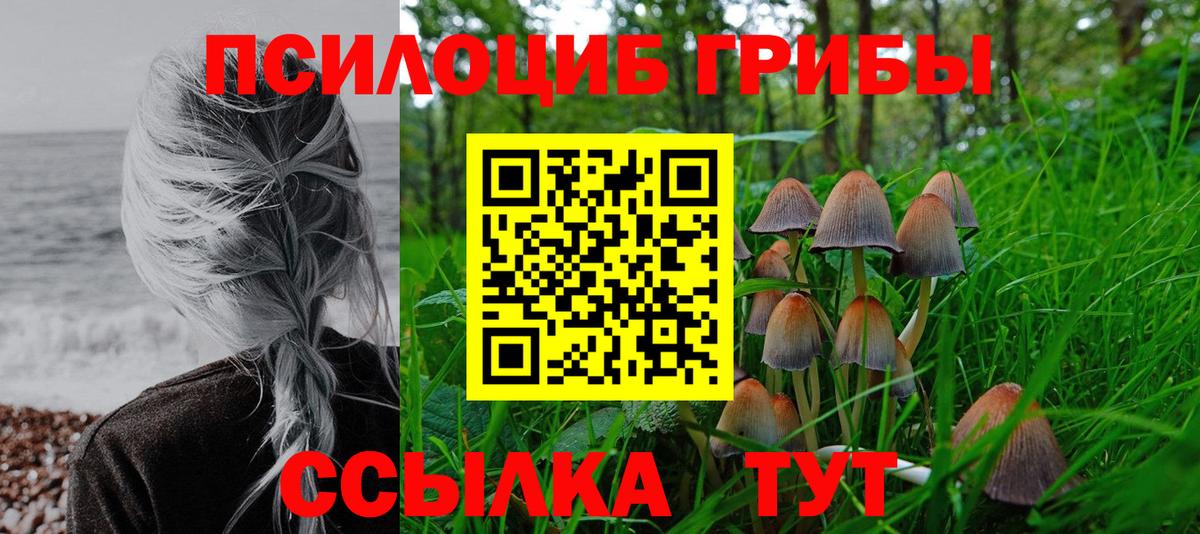 Псилоцибиновые грибы MAGIC MUSHROOMS  Вход с VPN  Нижнекамск 